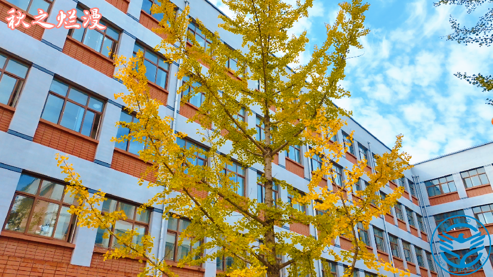 校园秋色