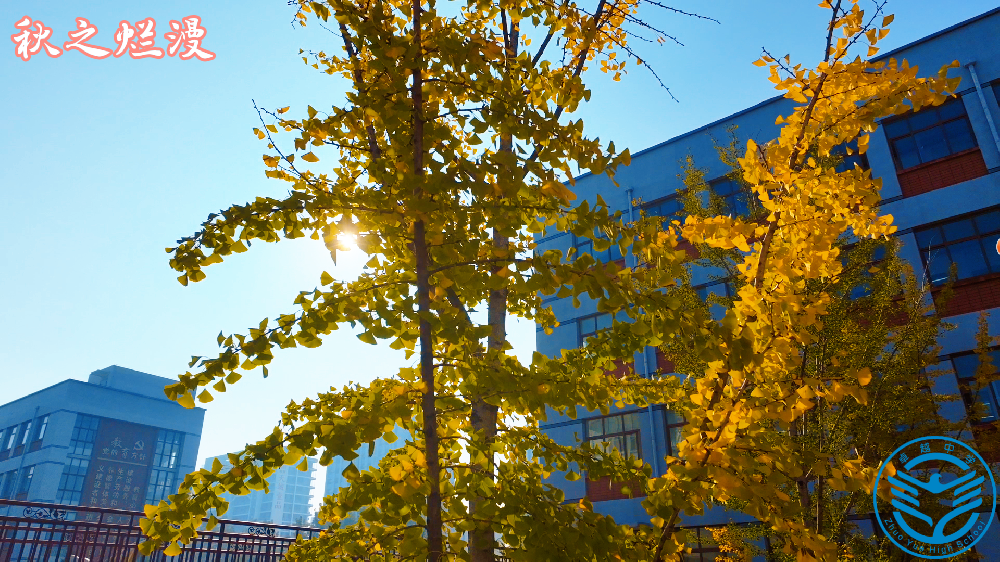校园秋色