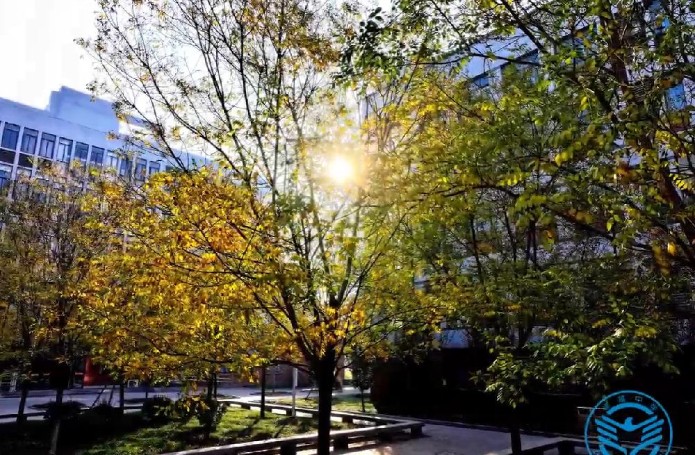 邀您来卓越赏个秋