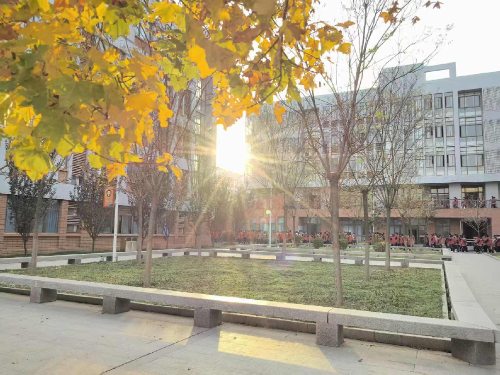 校园秋色