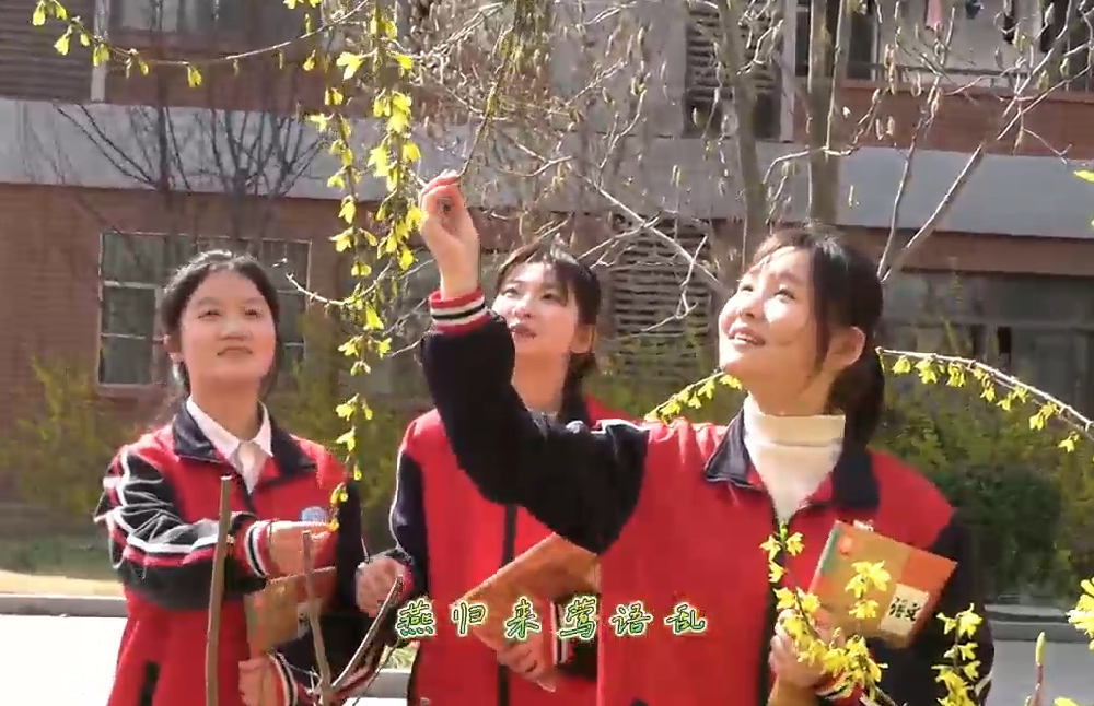 风是甜的，花是软的，春天是浪漫的