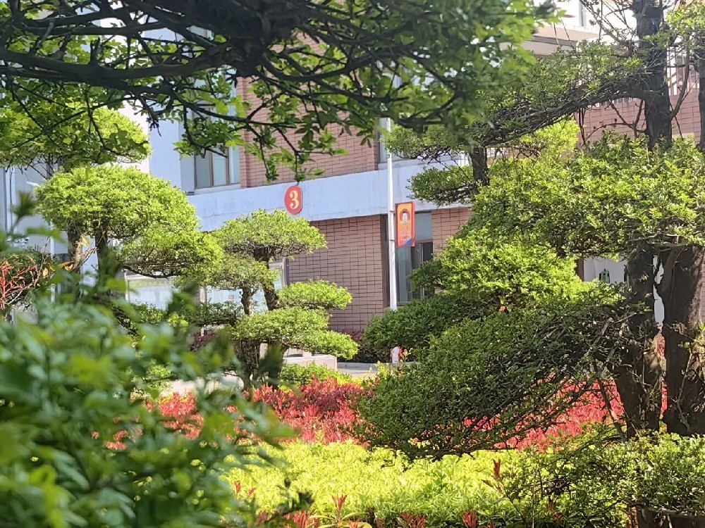 风景，这边独好！