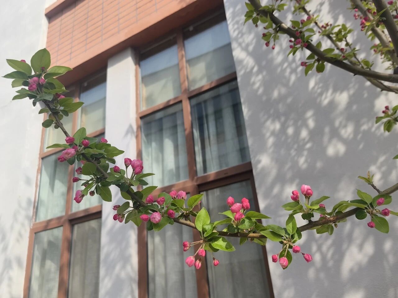 微信图片_2026-04-16_161213_779.jpg
